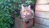 imag0850_small.jpg