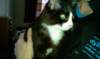 imag1565_small.jpg