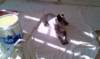 imag1599_small.jpg