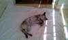 imag1601_small.jpg