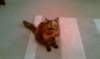 imag1695_small.jpg