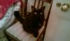 imag1703_small.jpg