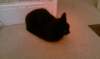 imag1705_small.jpg