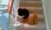 imag2093_small.jpg