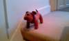 imag2143_small.jpg