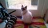 imag2151_small.jpg