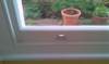 windowrefurbishmentwithnewstaffbeadandpainted_small.jpg